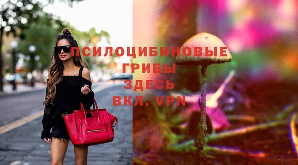 ешки Балахна